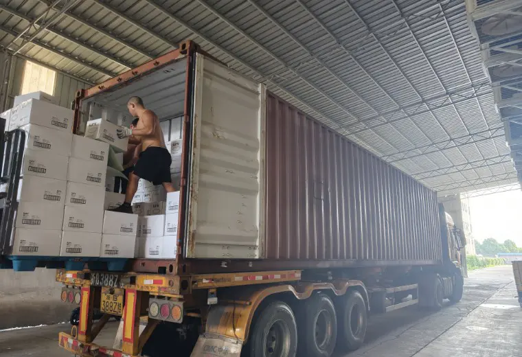 Kosda juni 2026 Export van papierproducten met dubbele containers | Ningbo